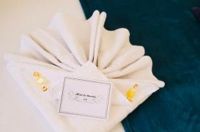 Hôtel Le Stanislas - photo 15